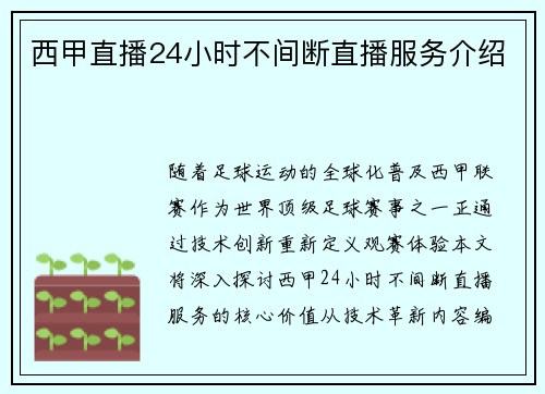 西甲直播24小时不间断直播服务介绍